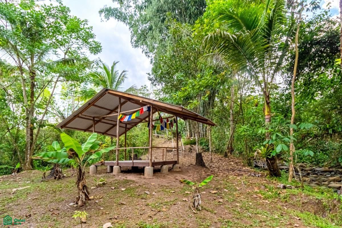 Finca Pura Vida Perez Zeledon, Cajón, Perez Zeledon, San Jose