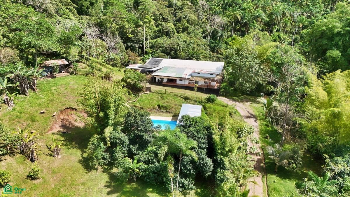 Finca Pura Vida Perez Zeledon, Cajón, Perez Zeledon, San Jose