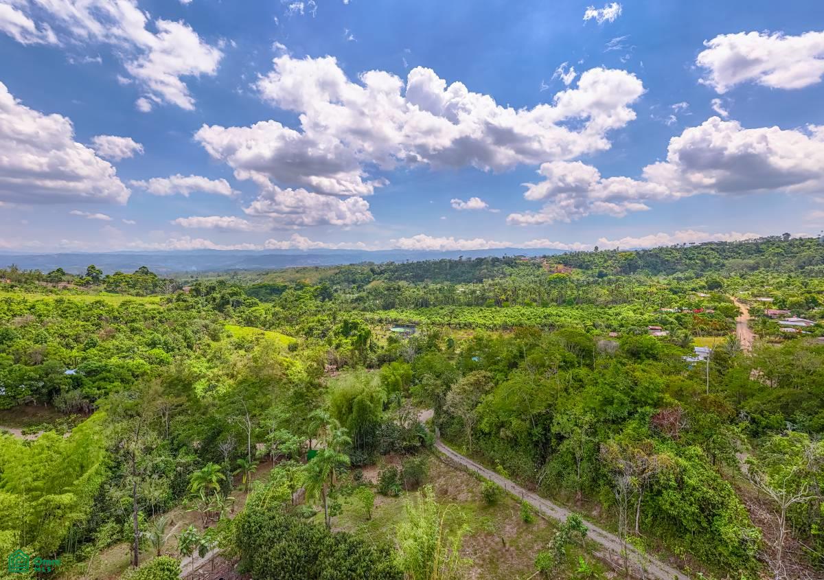 Finca Pura Vida Perez Zeledon, Cajón, Perez Zeledon, San Jose