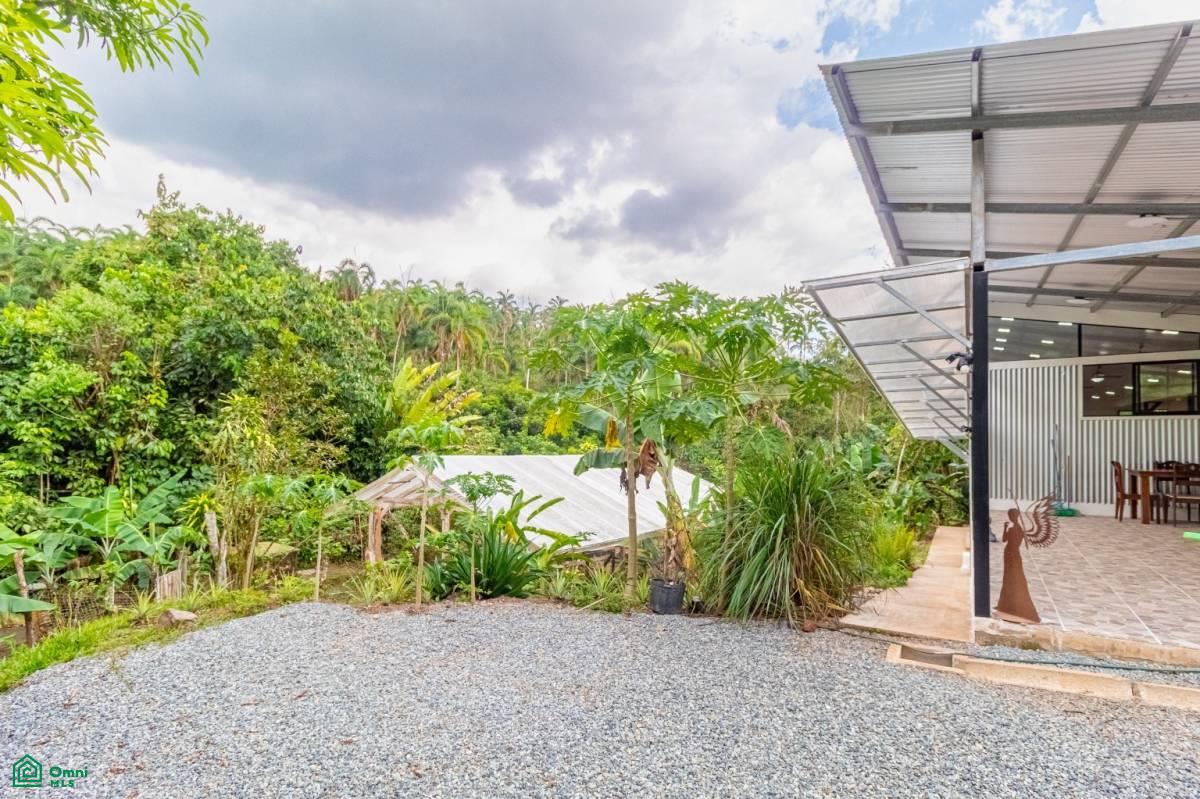 Finca Pura Vida Perez Zeledon, Cajón, Perez Zeledon, San Jose