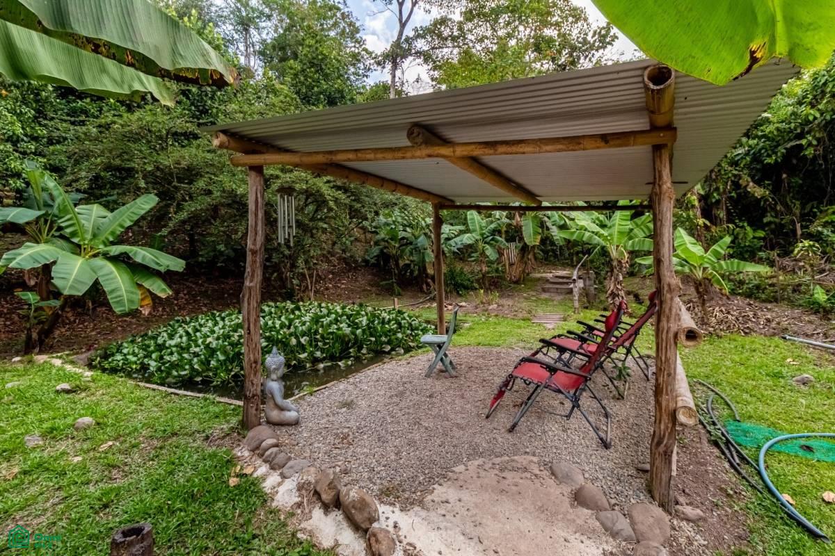 Finca Pura Vida Perez Zeledon, Cajón, Perez Zeledon, San Jose