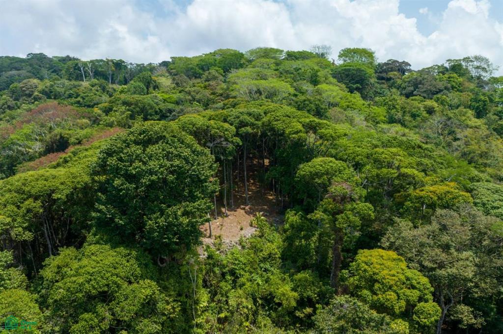 Finca Pacífica Barú, 34 hectares, Ocean-View Property , Dominical, Osa, Puntarenas