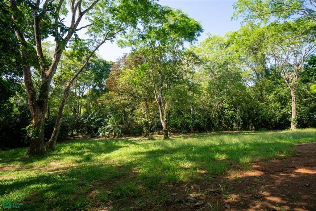 Finca Pacífica Barú, 34 hectares, Ocean-View Property , Dominical, Osa, Puntarenas