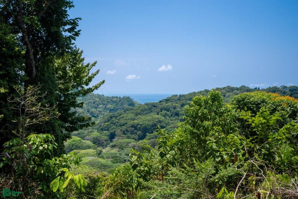 Finca Pacífica Barú, 34 hectares, Ocean-View Property , Dominical, Osa, Puntarenas