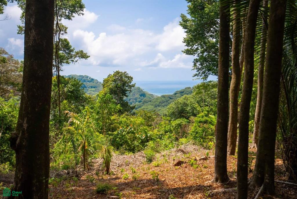 Finca Pacífica Barú, 34 hectares, Ocean-View Property , Dominical, Osa, Puntarenas