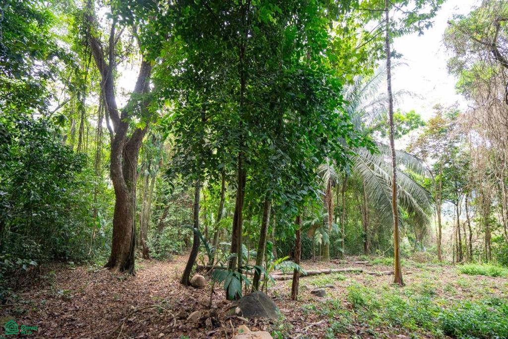 Finca Pacífica Barú, 34 hectares, Ocean-View Property , Dominical, Osa, Puntarenas