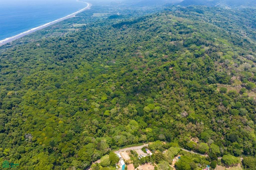 Finca Pacífica Barú, 34 hectares, Ocean-View Property , Dominical, Osa, Puntarenas