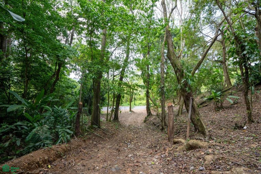 Finca Pacífica Barú, 34 hectares, Ocean-View Property , Dominical, Osa, Puntarenas