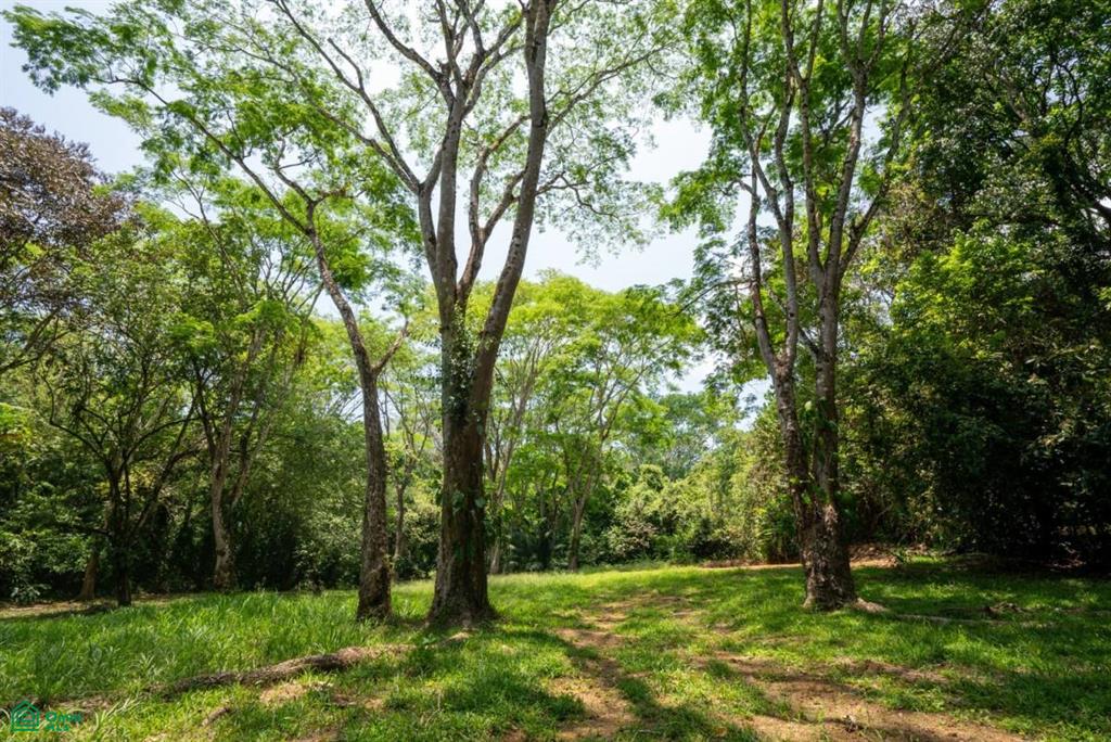 Finca Pacífica Barú, 34 hectares, Ocean-View Property , Dominical, Osa, Puntarenas