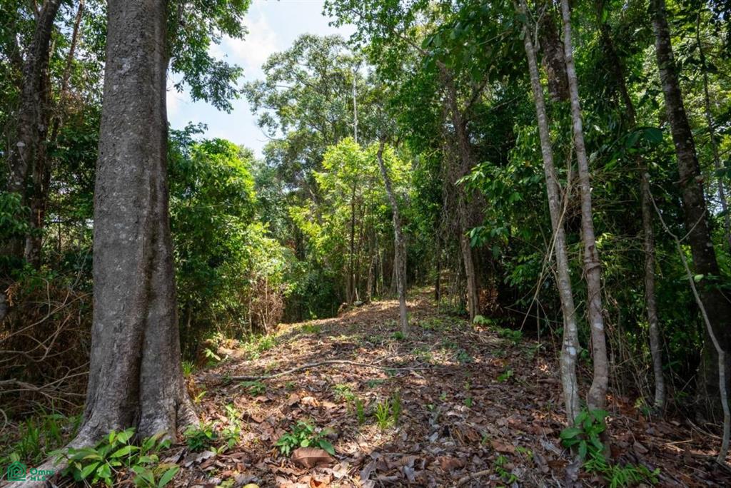 Finca Pacífica Barú, 34 hectares, Ocean-View Property , Dominical, Osa, Puntarenas