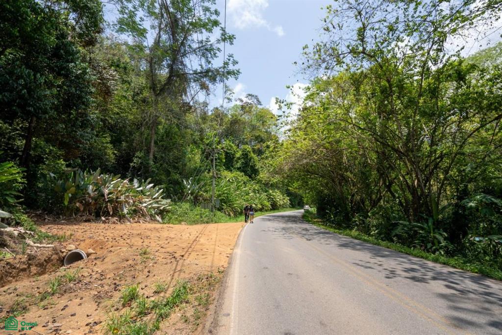 Finca Pacífica Barú, 34 hectares, Ocean-View Property , Dominical, Osa, Puntarenas