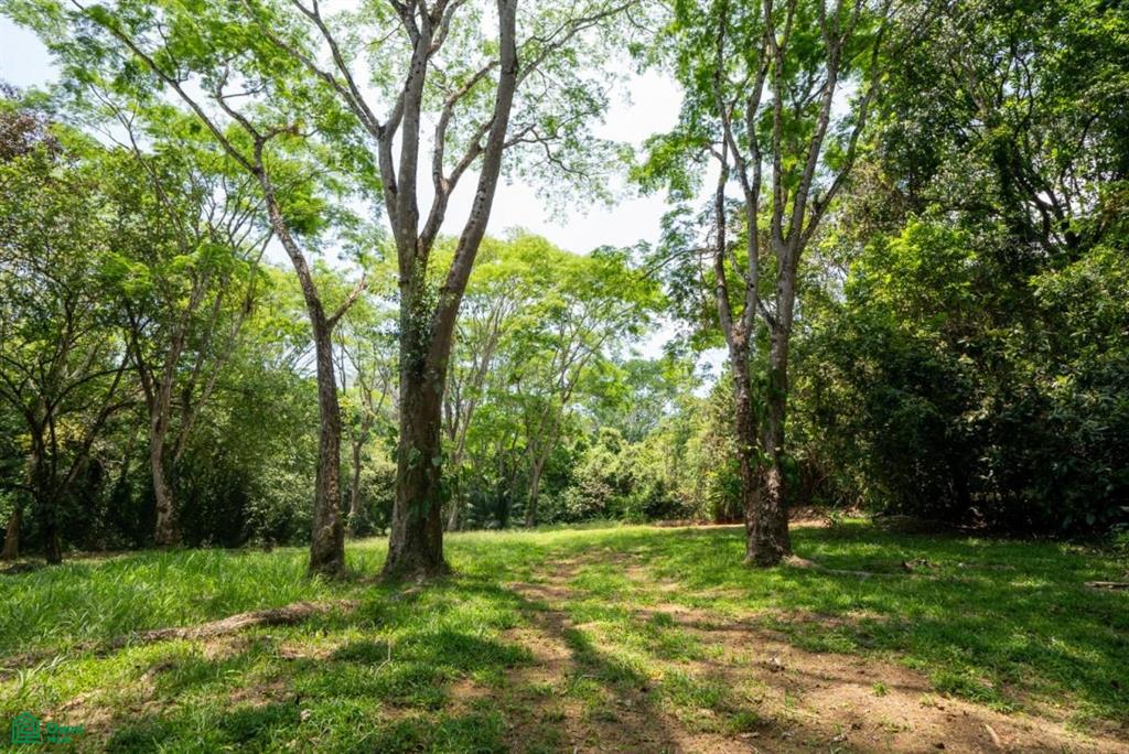 Finca Pacífica Barú, 34 hectares, Ocean-View Property , Dominical, Osa, Puntarenas