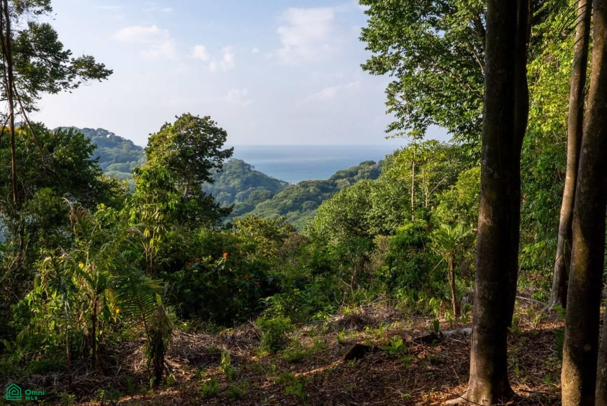 Finca Pacífica Barú, 34 hectares, Ocean-View Property , Dominical, Osa, Puntarenas