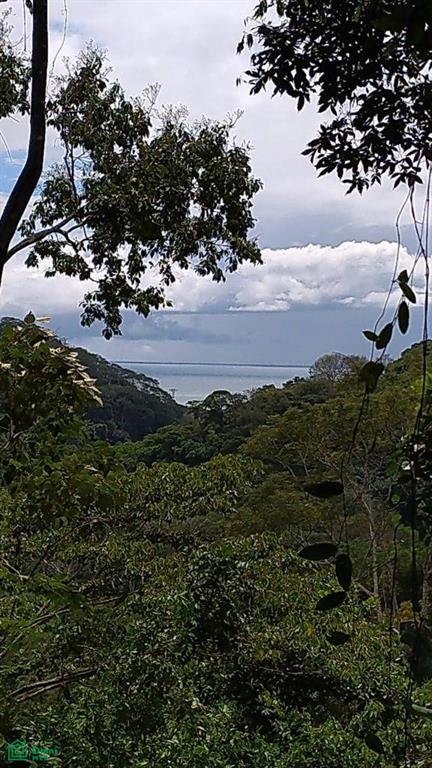 Finca Pacífica Barú, 34 hectares, Ocean-View Property , Dominical, Osa, Puntarenas
