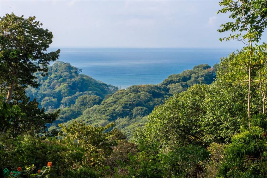 Finca Pacífica Barú, 34 hectares, Ocean-View Property , Dominical, Osa, Puntarenas