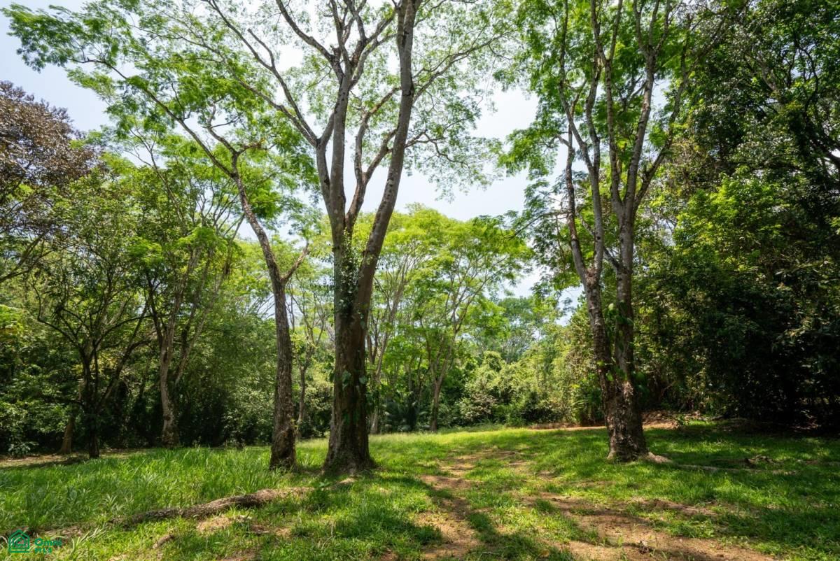 Finca Pacífica Barú, 34 hectares, Ocean-View Property , Dominical, Osa, Puntarenas