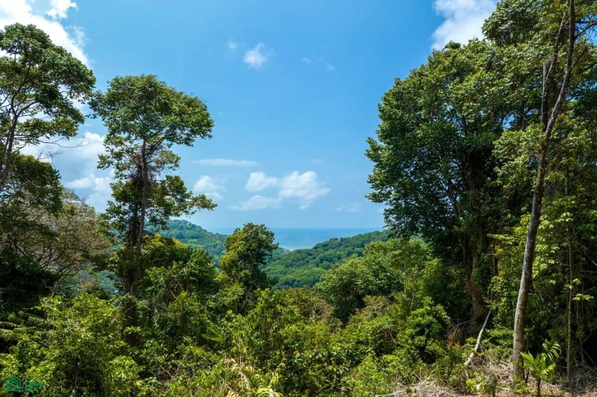 Finca Pacífica Barú, 34 hectares, Ocean-View Property , Dominical, Osa, Puntarenas