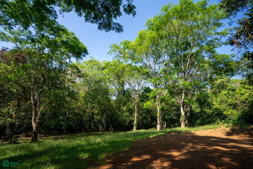 Finca Pacífica Barú, 34 hectares, Ocean-View Property , Dominical, Osa, Puntarenas