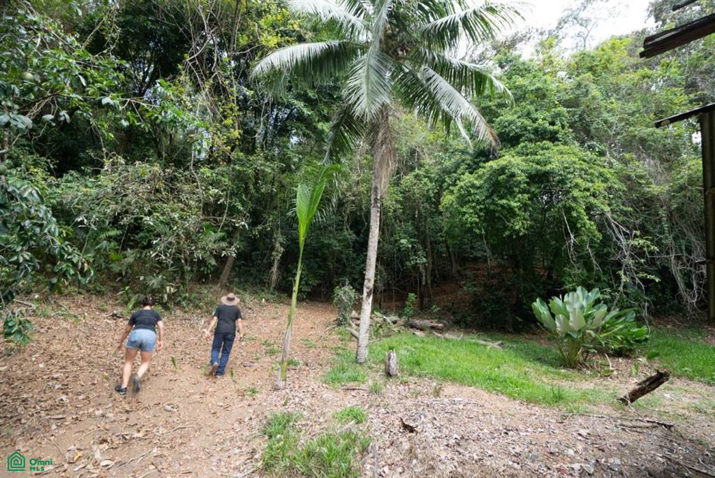 Finca Pacífica Barú, 34 hectares, Ocean-View Property , Dominical, Osa, Puntarenas