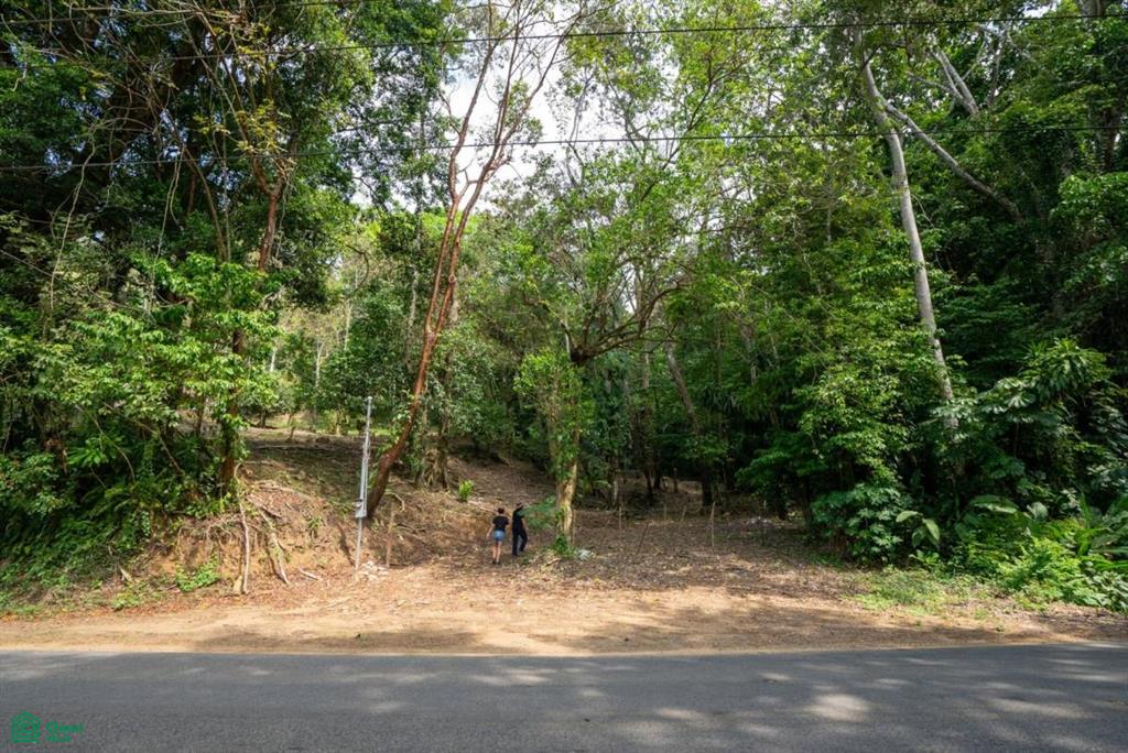 Finca Pacífica Barú, 34 hectares, Ocean-View Property , Dominical, Osa, Puntarenas