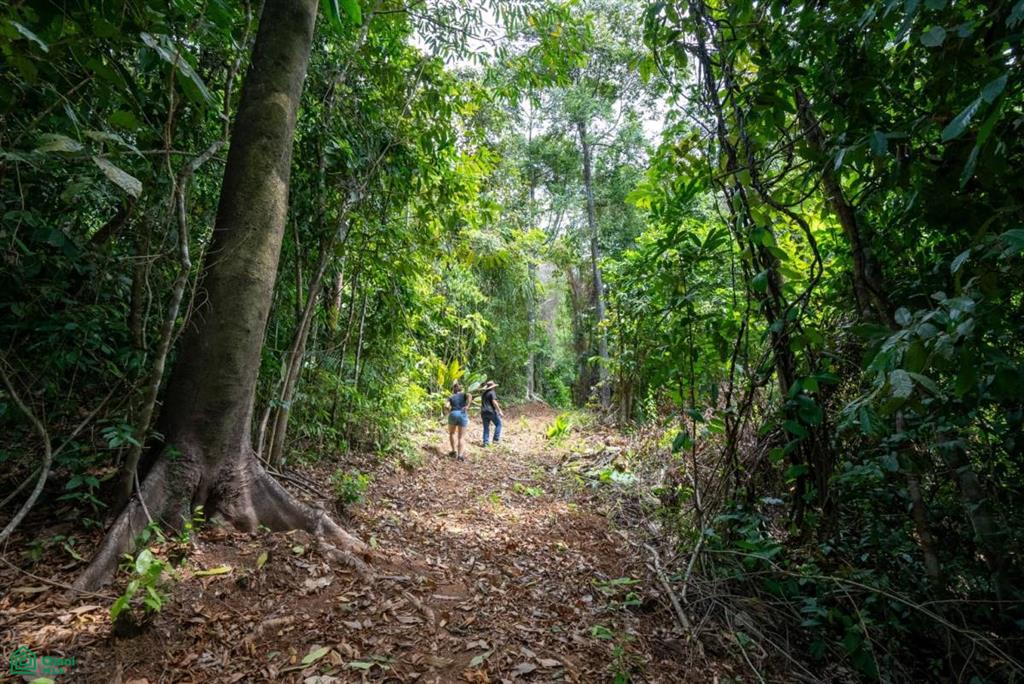 Finca Pacífica Barú, 34 hectares, Ocean-View Property , Dominical, Osa, Puntarenas