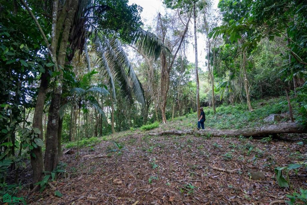 Finca Pacífica Barú, 34 hectares, Ocean-View Property , Dominical, Osa, Puntarenas