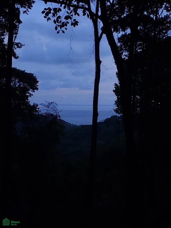 Finca Pacífica Barú, 34 hectares, Ocean-View Property , Dominical, Osa, Puntarenas
