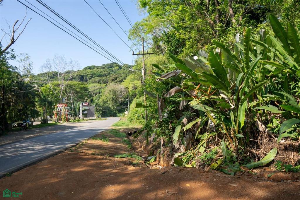 Finca Pacífica Barú, 34 hectares, Ocean-View Property , Dominical, Osa, Puntarenas