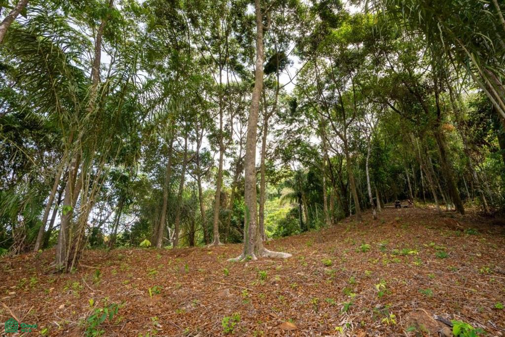 Finca Pacífica Barú, 34 hectares, Ocean-View Property , Dominical, Osa, Puntarenas