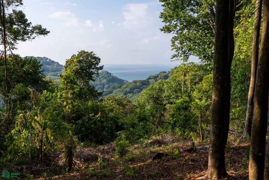 Finca Pacífica Barú, 34 hectares, Ocean-View Property , Dominical, Osa, Puntarenas