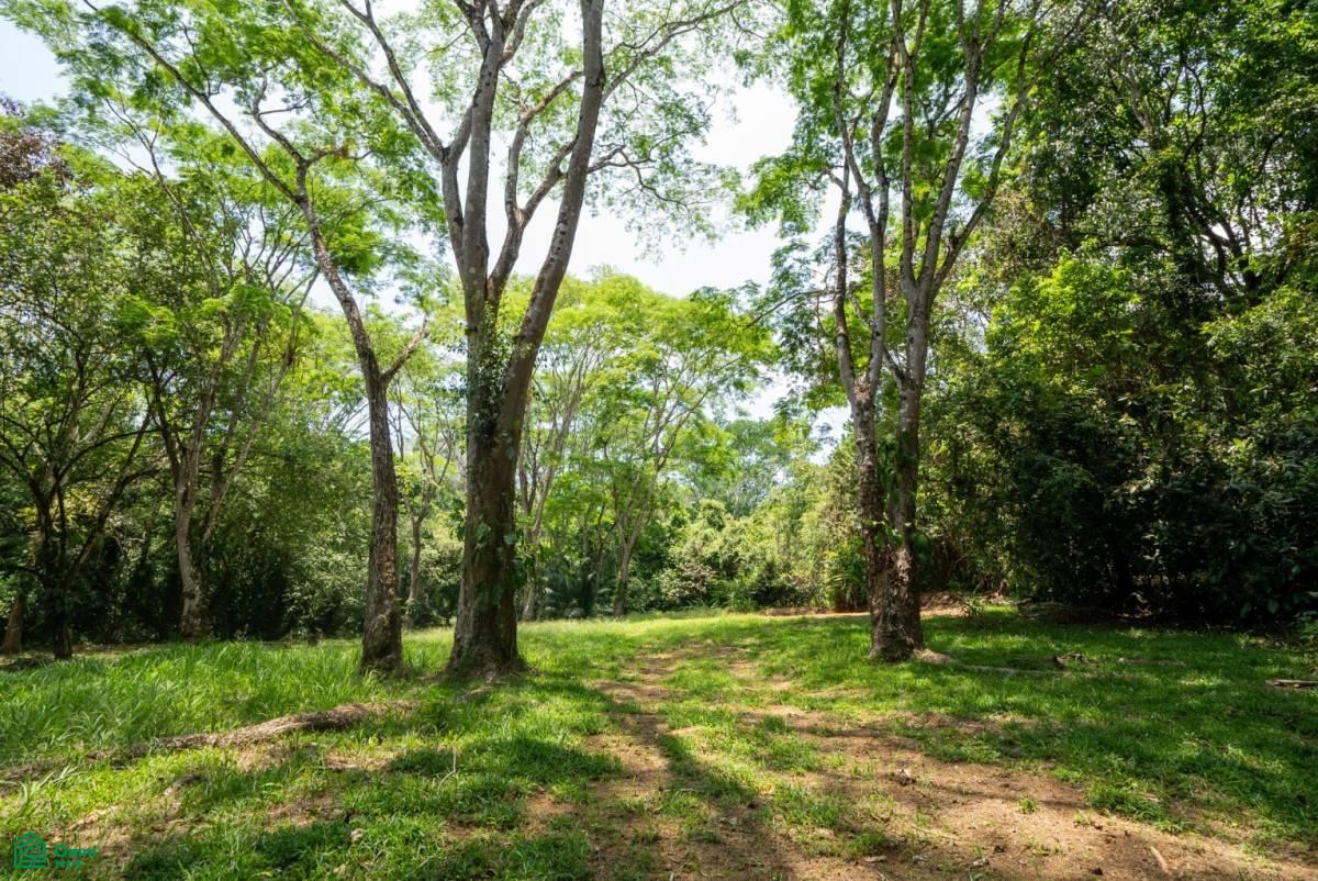 Finca Pacífica Barú, 34 hectares, Ocean-View Property , Dominical, Osa, Puntarenas