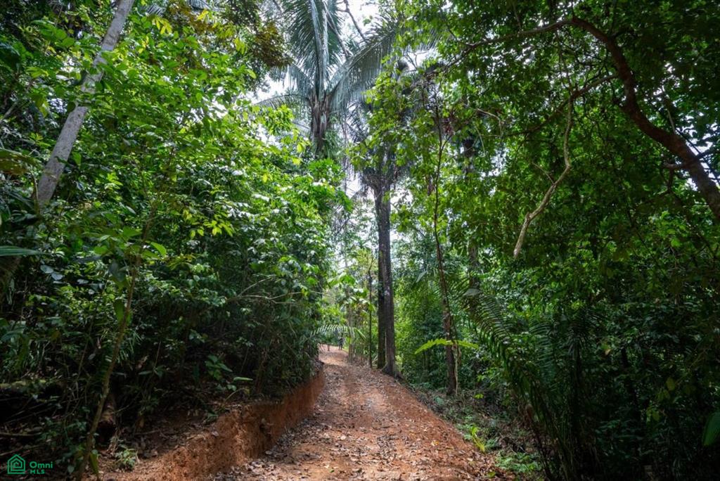 Finca Pacífica Barú, 34 hectares, Ocean-View Property , Dominical, Osa, Puntarenas