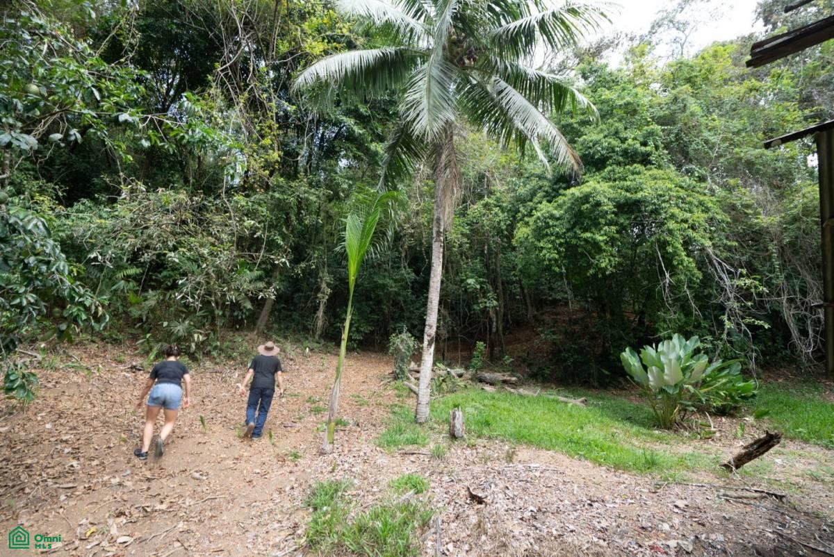 Finca Pacífica Barú, 34 hectares, Ocean-View Property , Dominical, Osa, Puntarenas
