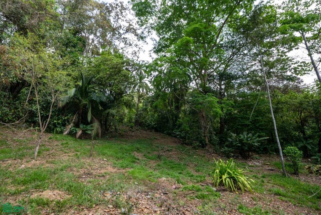 Finca Pacífica Barú, 34 hectares, Ocean-View Property , Dominical, Osa, Puntarenas