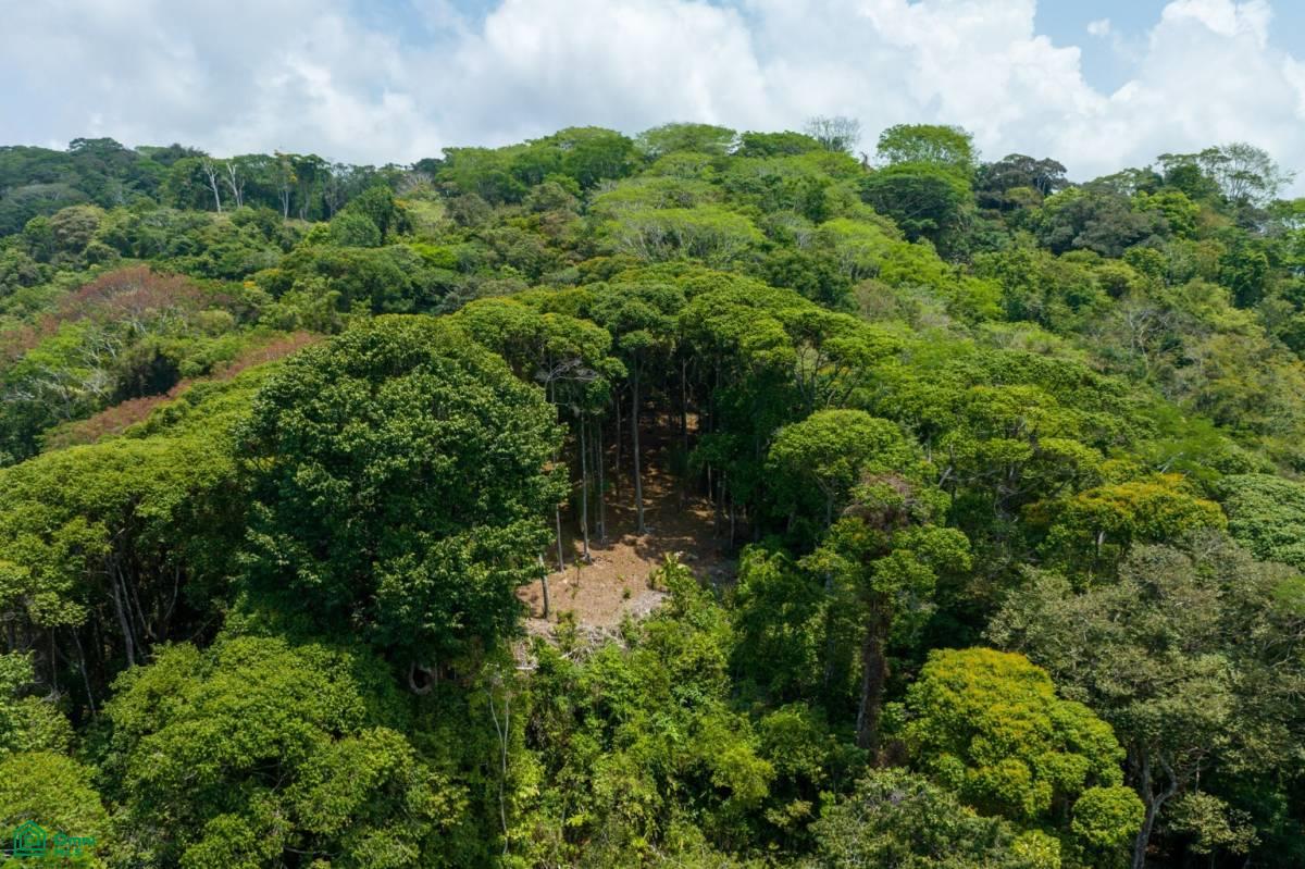 Finca Pacífica Barú, 34 hectares, Ocean-View Property , Dominical, Osa, Puntarenas