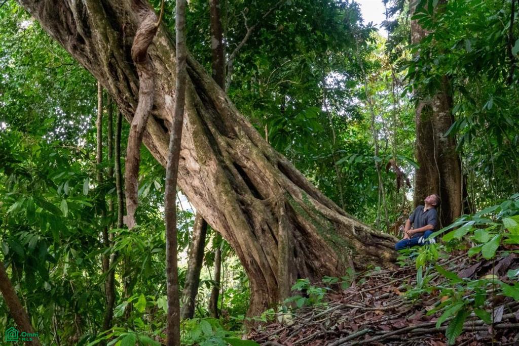 Finca Pacífica Barú, 34 hectares, Ocean-View Property , Dominical, Osa, Puntarenas