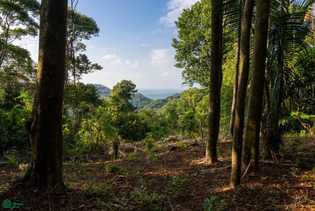 Finca Pacífica Barú, 34 hectares, Ocean-View Property , Dominical, Osa, Puntarenas