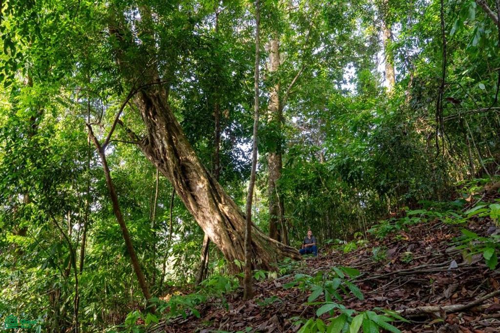 Finca Pacífica Barú, 34 hectares, Ocean-View Property , Dominical, Osa, Puntarenas