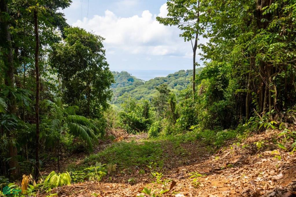 Finca Pacífica Barú, 34 hectares, Ocean-View Property , Dominical, Osa, Puntarenas