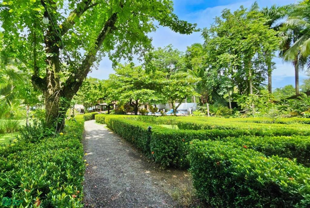 Beach Front Hotel Manuel Antonio , Quepos, Quepos, Puntarenas