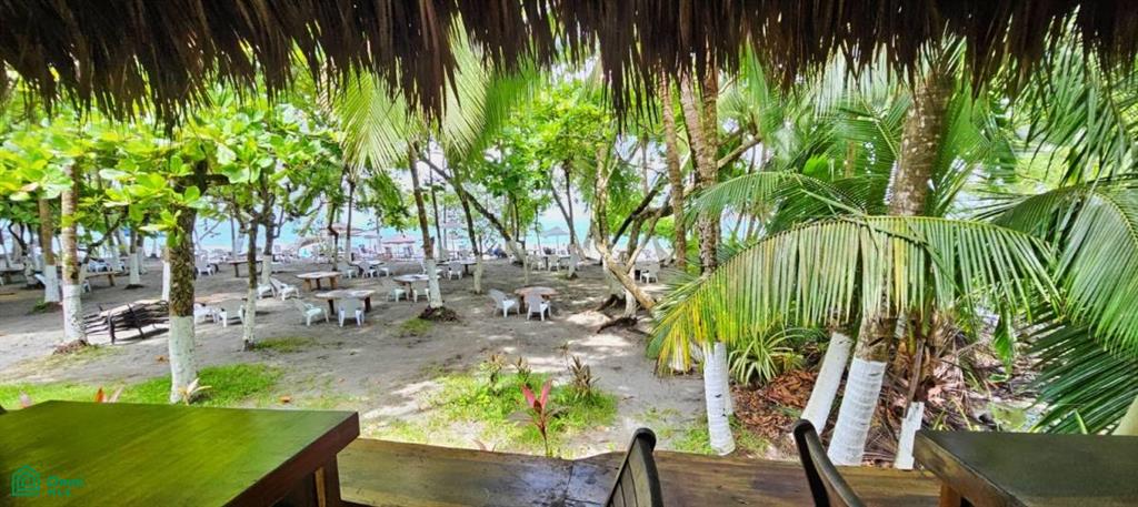 Beach Front Hotel Manuel Antonio , Quepos, Quepos, Puntarenas