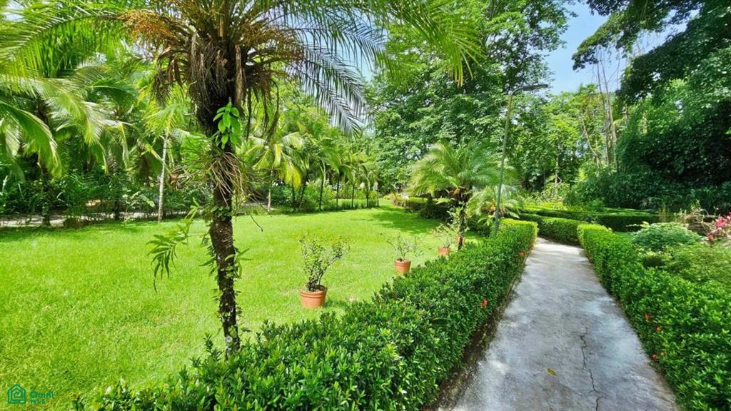 Beach Front Hotel Manuel Antonio , Quepos, Quepos, Puntarenas