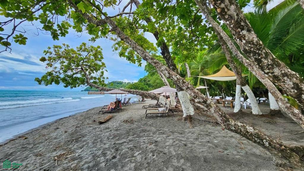 Beach Front Hotel Manuel Antonio , Quepos, Quepos, Puntarenas