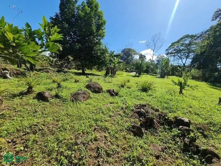 Your Costa Rica Dream Property in Santa Elena, Perez Zeledon! , General, Perez Zeledon, San Jose