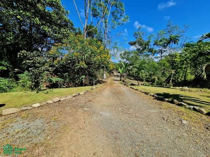 Your Costa Rica Dream Property in Santa Elena, Perez Zeledon! , General, Perez Zeledon, San Jose