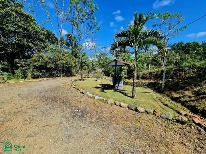 Your Costa Rica Dream Property in Santa Elena, Perez Zeledon! , General, Perez Zeledon, San Jose