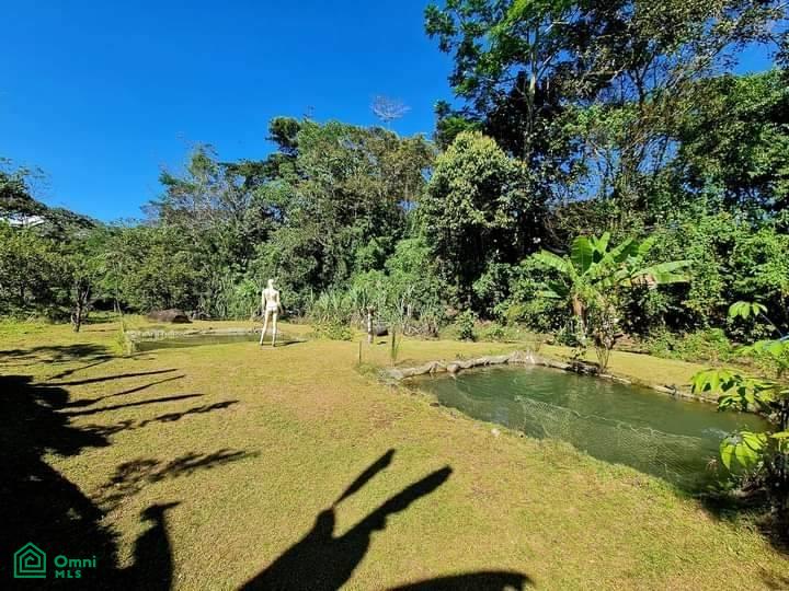 Your Costa Rica Dream Property in Santa Elena, Perez Zeledon! , General, Perez Zeledon, San Jose