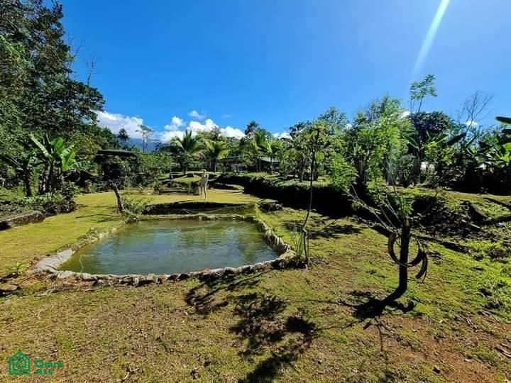 Your Costa Rica Dream Property in Santa Elena, Perez Zeledon! , General, Perez Zeledon, San Jose