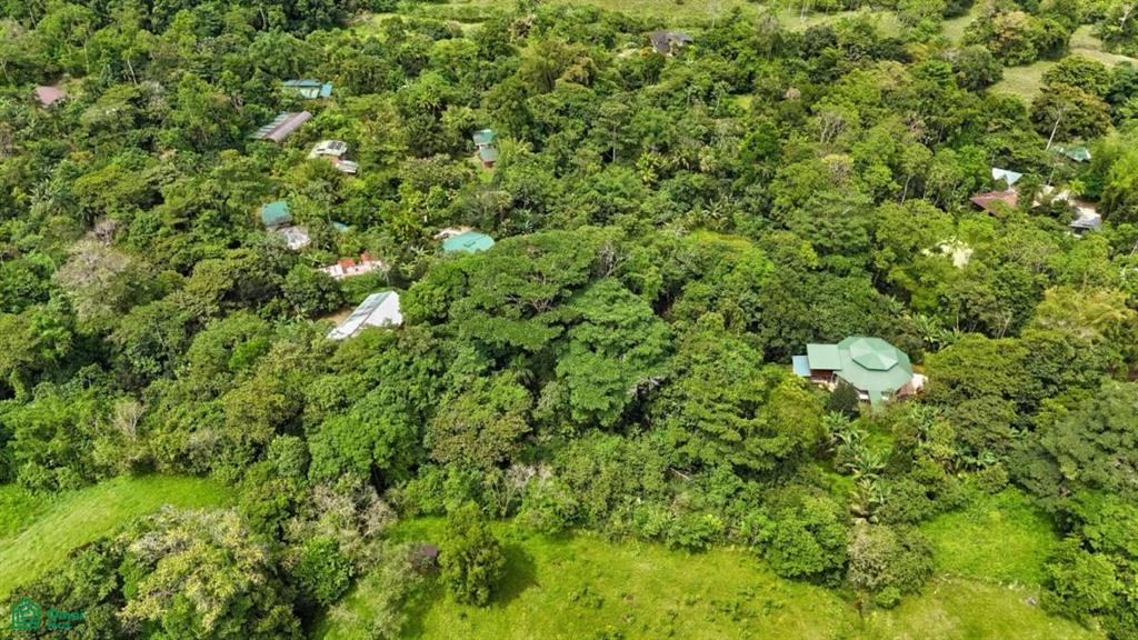 Tranquil Octagon Home in the Lush Diamante Valley , Tinamaste, Perez Zeledon, San Jose