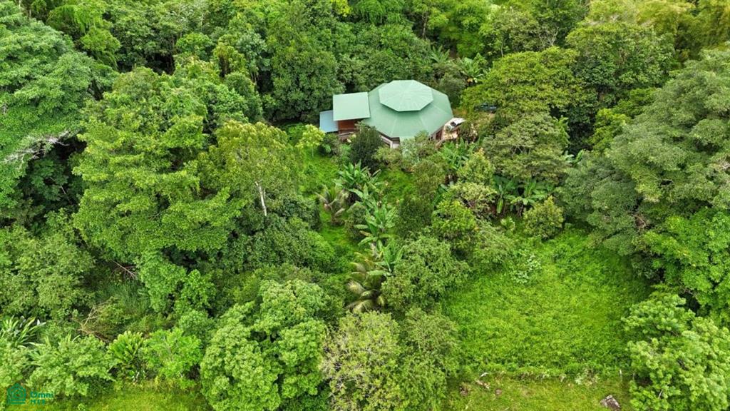 Tranquil Octagon Home in the Lush Diamante Valley , Tinamaste, Perez Zeledon, San Jose